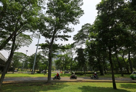 Jokowi Gelar Festival Taman Kota di Waduk Pluit