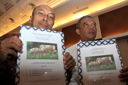 Asuransi Sapi Resmi Diluncurkan