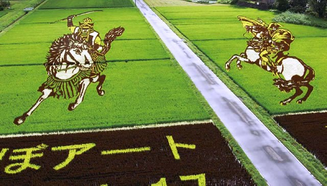 Tanbo Art, Melukis Di Atas Sawah Petani Jepang