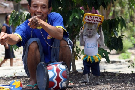 Warga Solo Tolak Topeng Monyet
