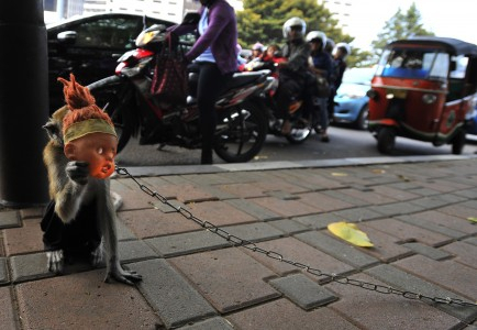 Nasib Topeng Monyet