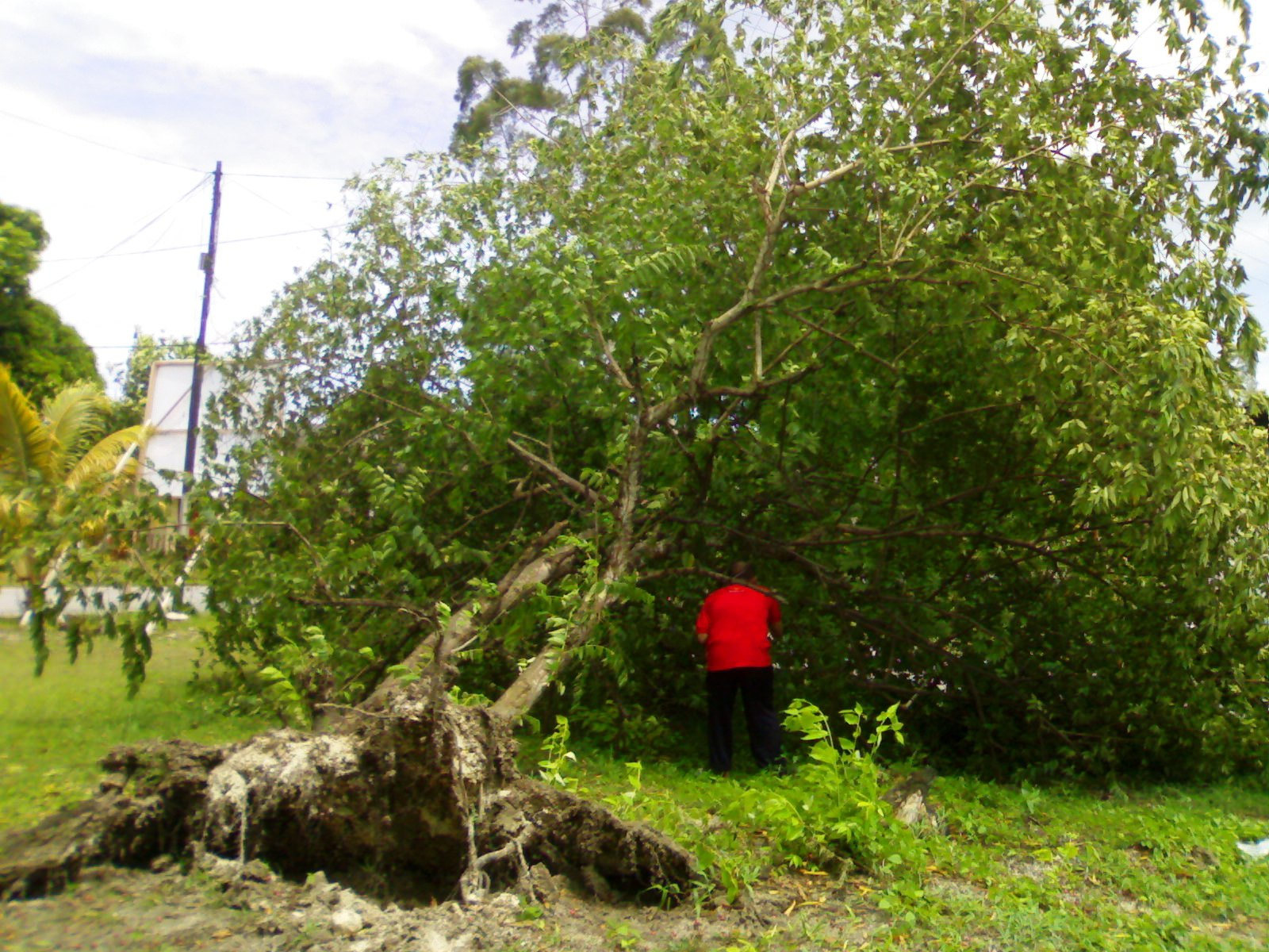 Cuaca Buruk Melanda Biak Papua