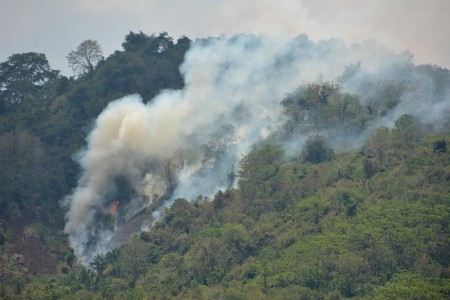 Hutan Lindung di Pasuruan Terbakar