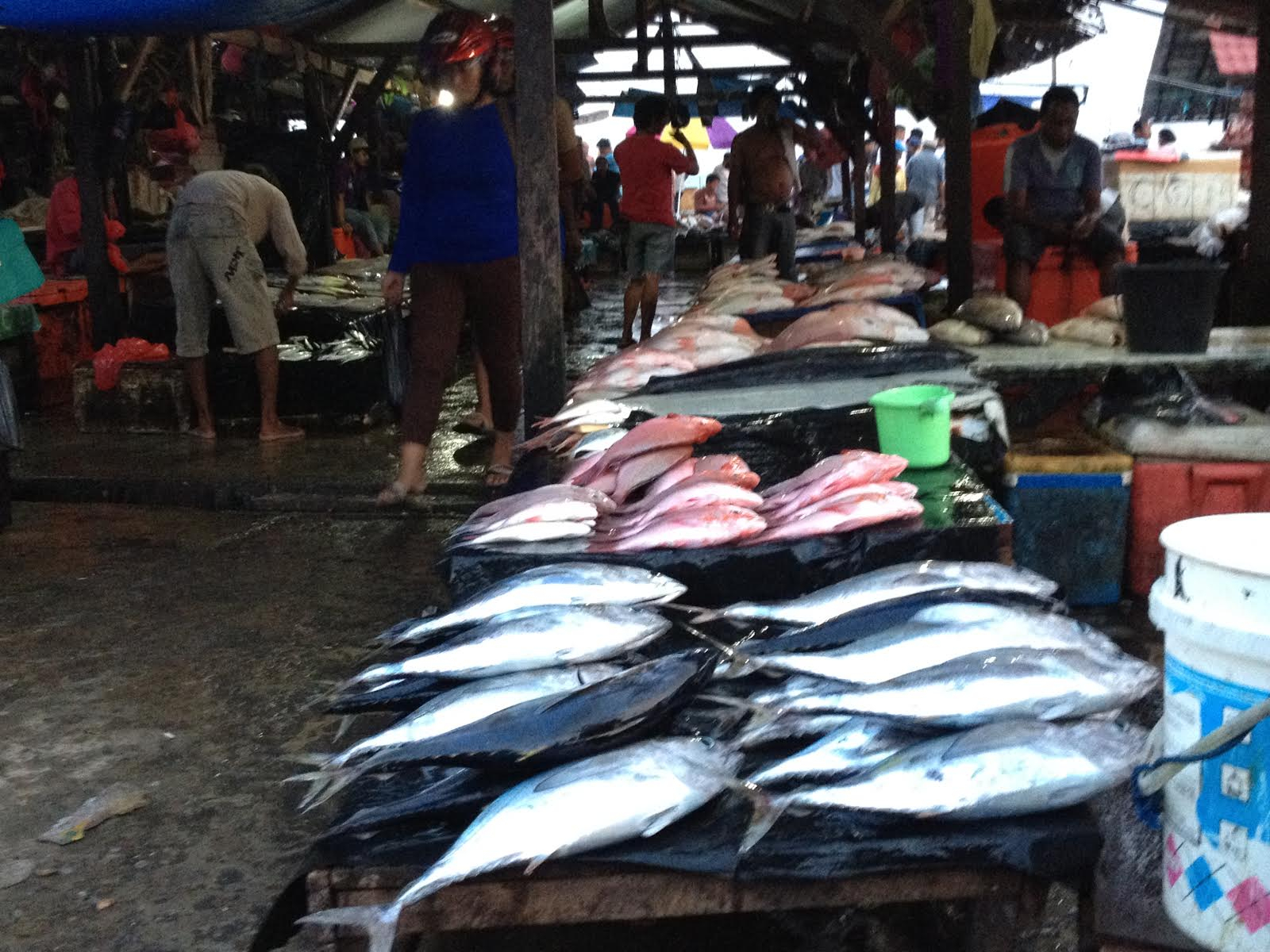 Penyebab Melonjaknya Harga Ikan di Jayapura Hingga 3 kali Lipat