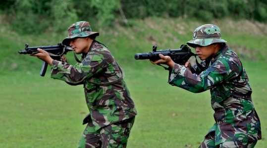 TNI AD Tarik Seluruh Perwiranya dari Australia