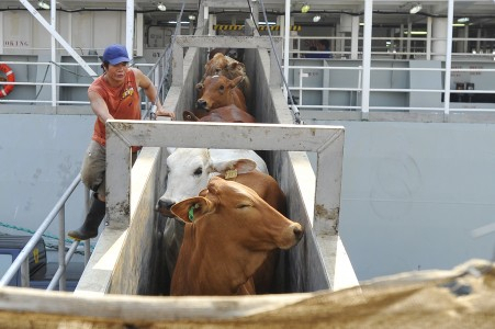 Hubungan Dagang Putus, Harga Daging Bisa Tembus 120 Ribu/Kg