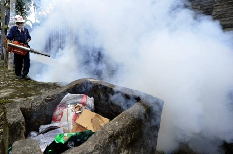 Kabupaten Cirebon Endemis DBD dan Chikungunya