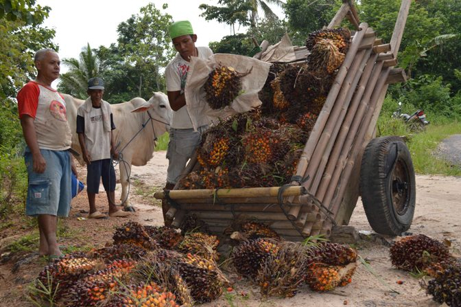 Ingkar Janji, Warga di Jambi Ancam Perusahaan Kelapa Sawit