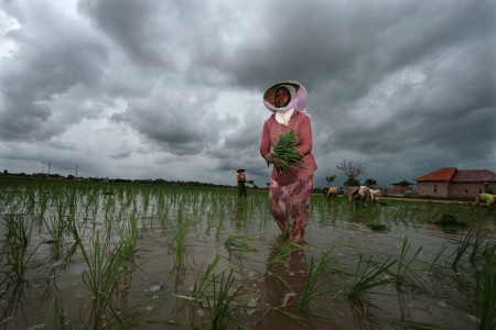 Anoma Cuaca Ekstrim Sebabkan Curah Hujan Tinggi di Riau
