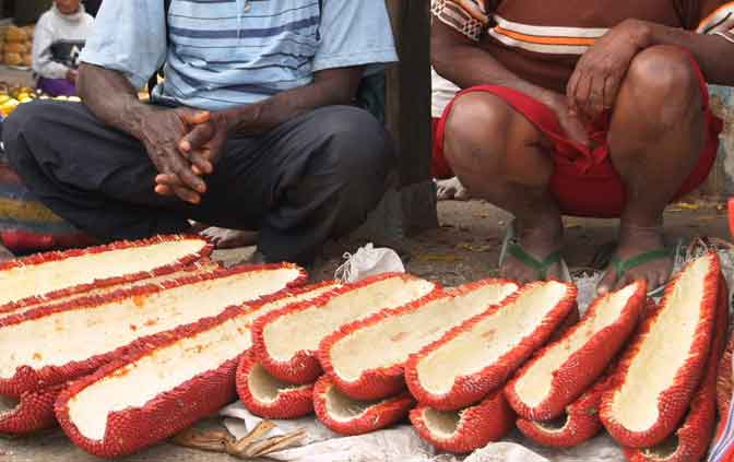 Buah Merah dan Rencana Pemprov Papua di PON XX