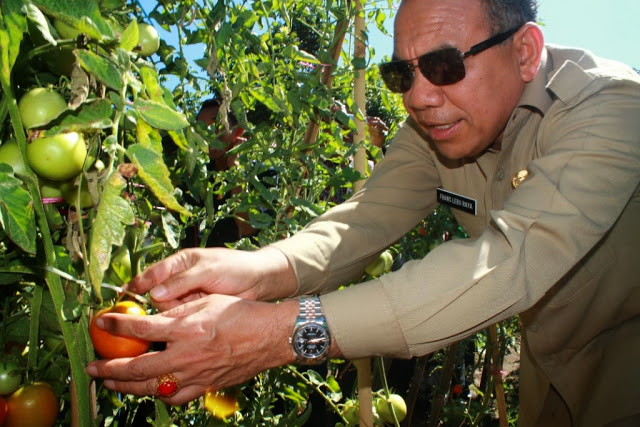 Gubernur NTT Tahan DIPA 2014 Tiga Kabupaten