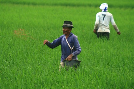 PT Perhutani Dituduh Aniaya dan Rebut Lahan Petani Indramayu
