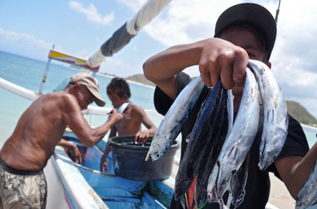 Tingkatkan Keanekaragaman Spesies dengan Apartemen Ikan