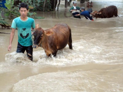 Akademisi Usulkan Pencegahan Banjir di Jawa Tengah
