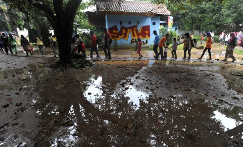 Singa di Kebun Binatang Surabaya Mati Terjerat