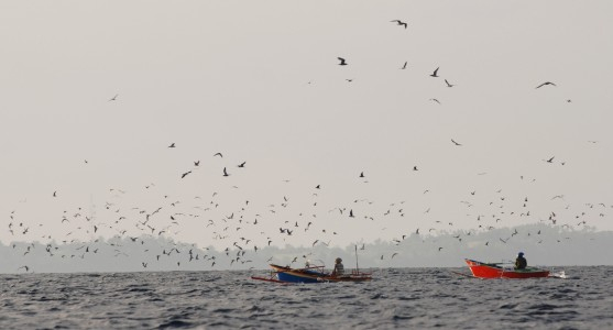 Izin Penangkapan Ikan Bakal Dipermudah