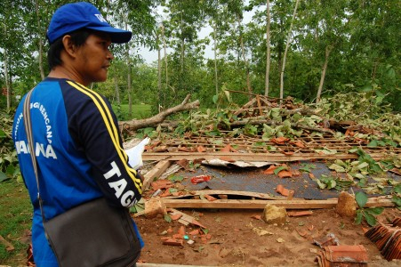 Waspadai Angin Kencang BPBD TTU Minta Warga Tebang Pohon
