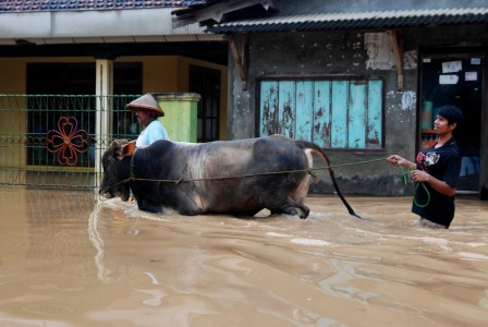 Bondowoso Siaga Darurat Banjir