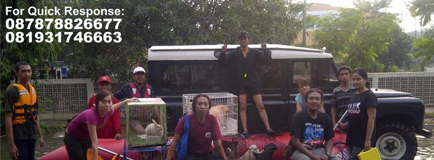 Korban Banjir Bisa Titipkan Hewan Peliharaan di Jakarta Flood Animal Rescue