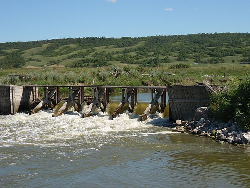 Cegah Banjir, Pemkab Bondowoso Keruk Dam