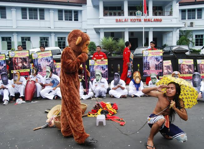 Seruan Aktivis Satwa di Hari Primata Indonesia