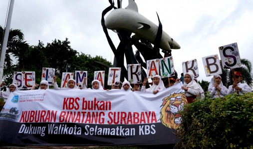 Satwa KBS Mati Lagi