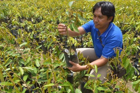 Pemerintah Pertimbangkan Revisi UU Sistem Budidaya Tanaman