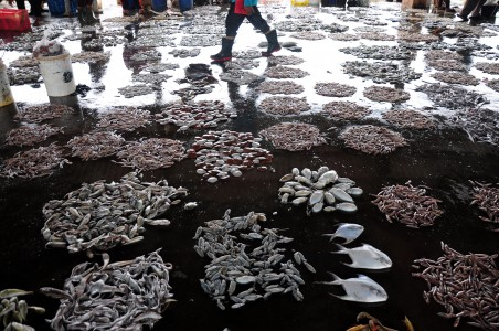 Fasilitas Buruk, Nelayan Rembang Ancam Lelang Ikan di Tuban