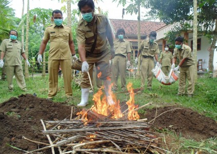 Bali Waspada Flu Burung!