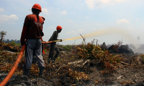 Jumlah Titik Api di Sumatera turun