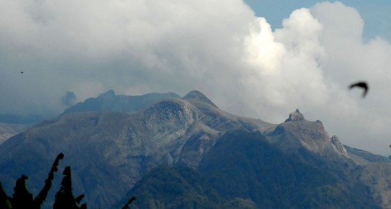 Kerugian Erupsi Kelud di Kediri Sebesar Rp 136 M