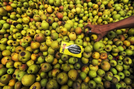 Petani Apel Malang Desak Keran Impor Ditutup