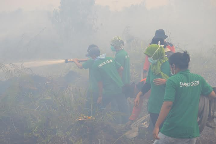 Agung Laksono: 25 Perusahaan Jadi Tersangka Pembakaran Hutan
