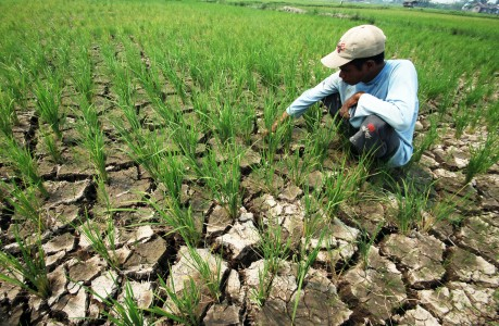 Antisipasi Kekeringan, Pemda Rembang Didesak Wujudkan Program Sungai Terpadu