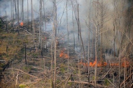 Kebakaran Hutan Riau, Helikopter Pembom Air Gagal Beroperasi