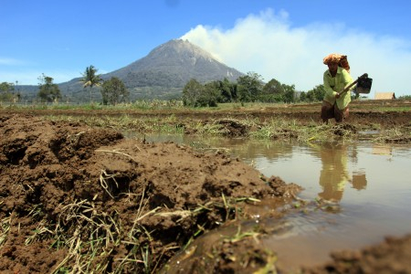 Pascaletusan Sinabung, 15 Ribu Jiwa Masih Mengungsi