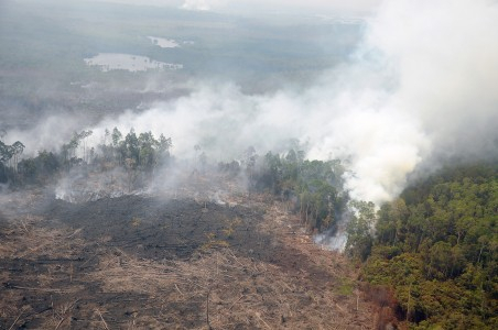 Cegah Kebakaran Hutan, Kemenhut Terjunkan Tim Khusus di Tiap Desa