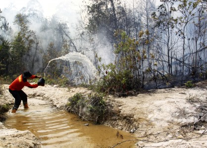 Persetujuan RTRWP Hutan Ditunda