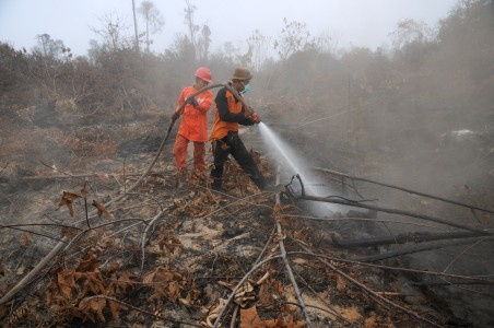 Menhut: Perusahaan Pembakar Lahan Akan Ditindak