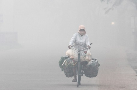 Walhi: Modifikasi Cuaca Ganggu Siklus Alam
