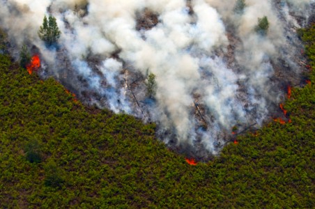 Tiga Helikopter Padamkan Kebakaran Riau