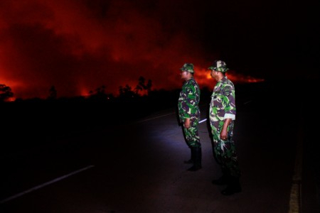 Kemenhut Minta UKP4 Turun Tangan Tindak Pembakar Hutan Riau