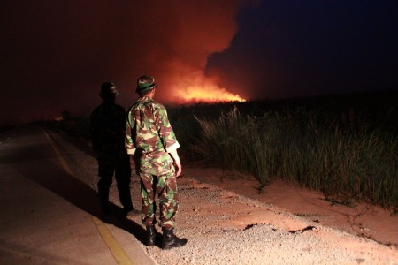 Jikalahari : Mafia Pembakar Hutan Riau Saling Terkait