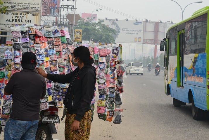 WWF: Pelaku Pembakar Lahan di Tesso Nilo Diduga Orang Yang Sama
