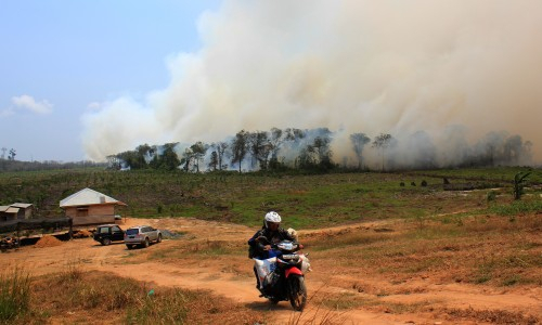Inilah Zat Kimia Berbahaya yang Dihirup Warga Riau