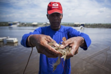 Petambak eks-Dipasena: Putusan PT Tanjung Karang Harus Dibatalkan