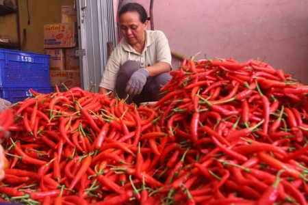 Harga Cabe Rawit di Banyuwangi Tembus Rp 80 Ribu Perkilogram