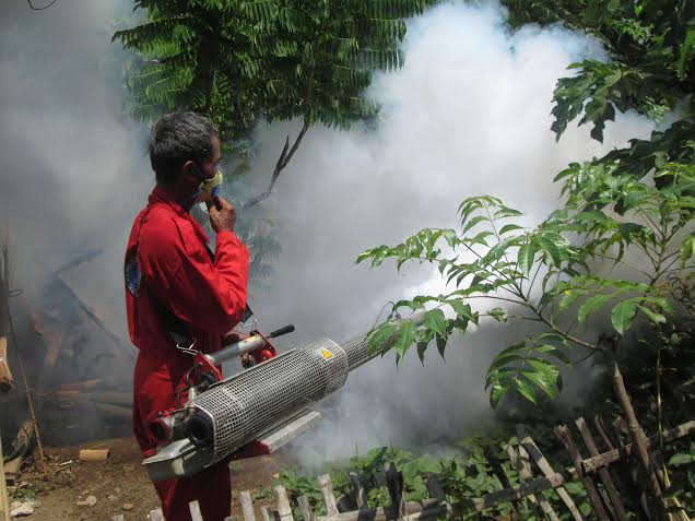 Kondisi Ini yang Membuat Warga Terkena Chikungunya