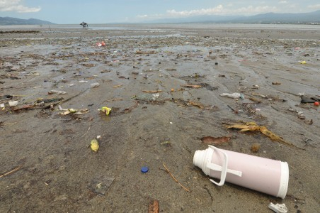 Sebagian Besar Tanaman Bakau di Rembang Mati karena Sampah
