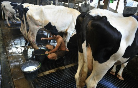 Harga Daging Sapi Melonjak Tinggi.